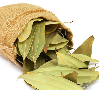 Global Bay Leaf Market 2019-2023